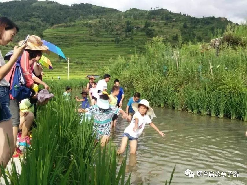 鼓楼美食_鼓楼的小吃_鼓楼国际美食推荐语